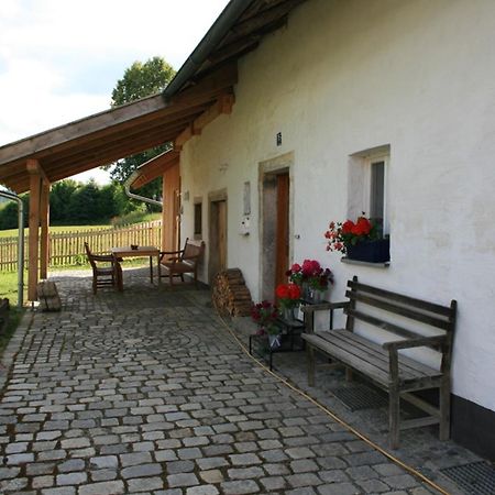 Ferienhaus Winter Blaibach Εξωτερικό φωτογραφία