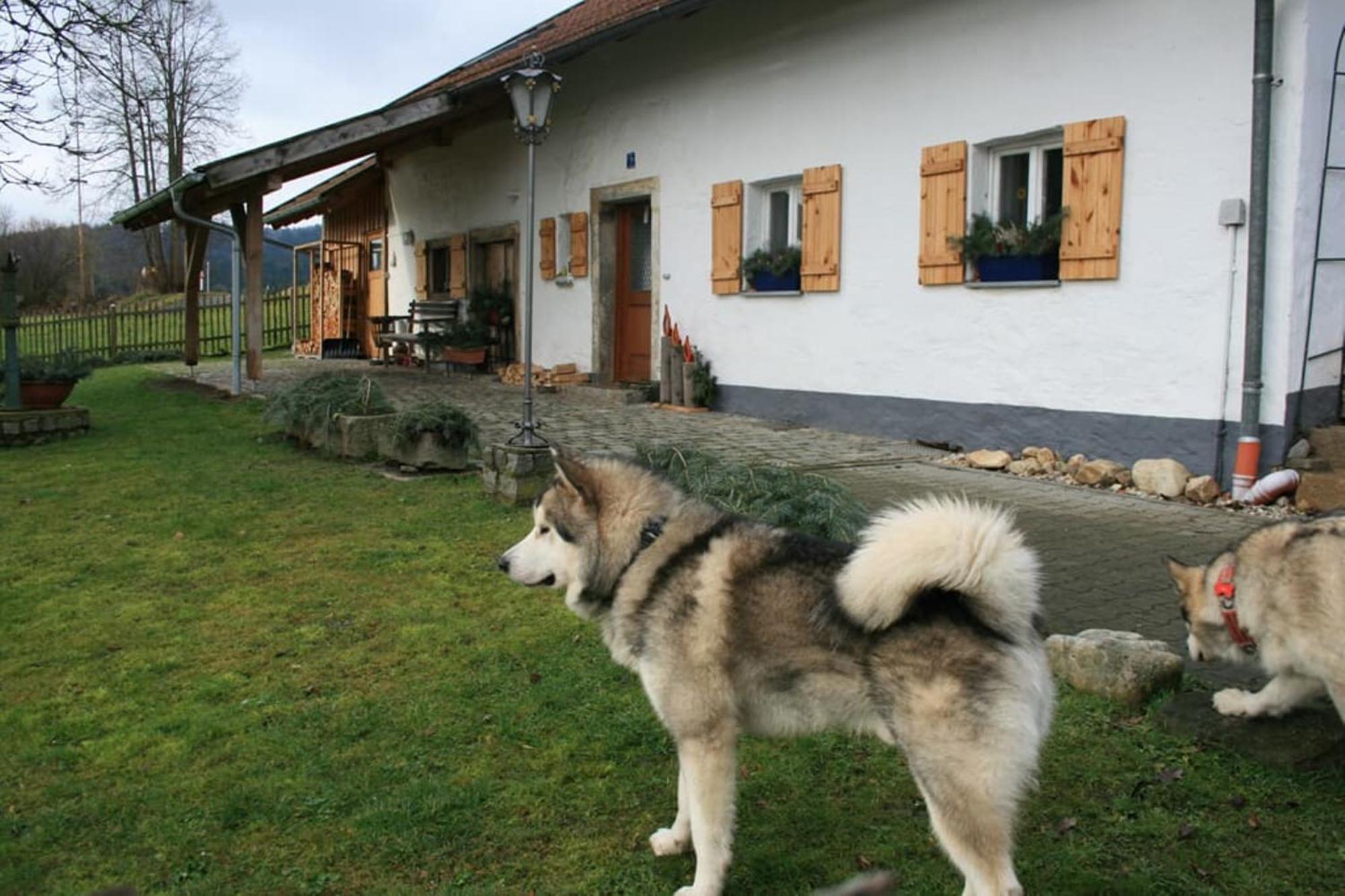 Ferienhaus Winter Blaibach Εξωτερικό φωτογραφία