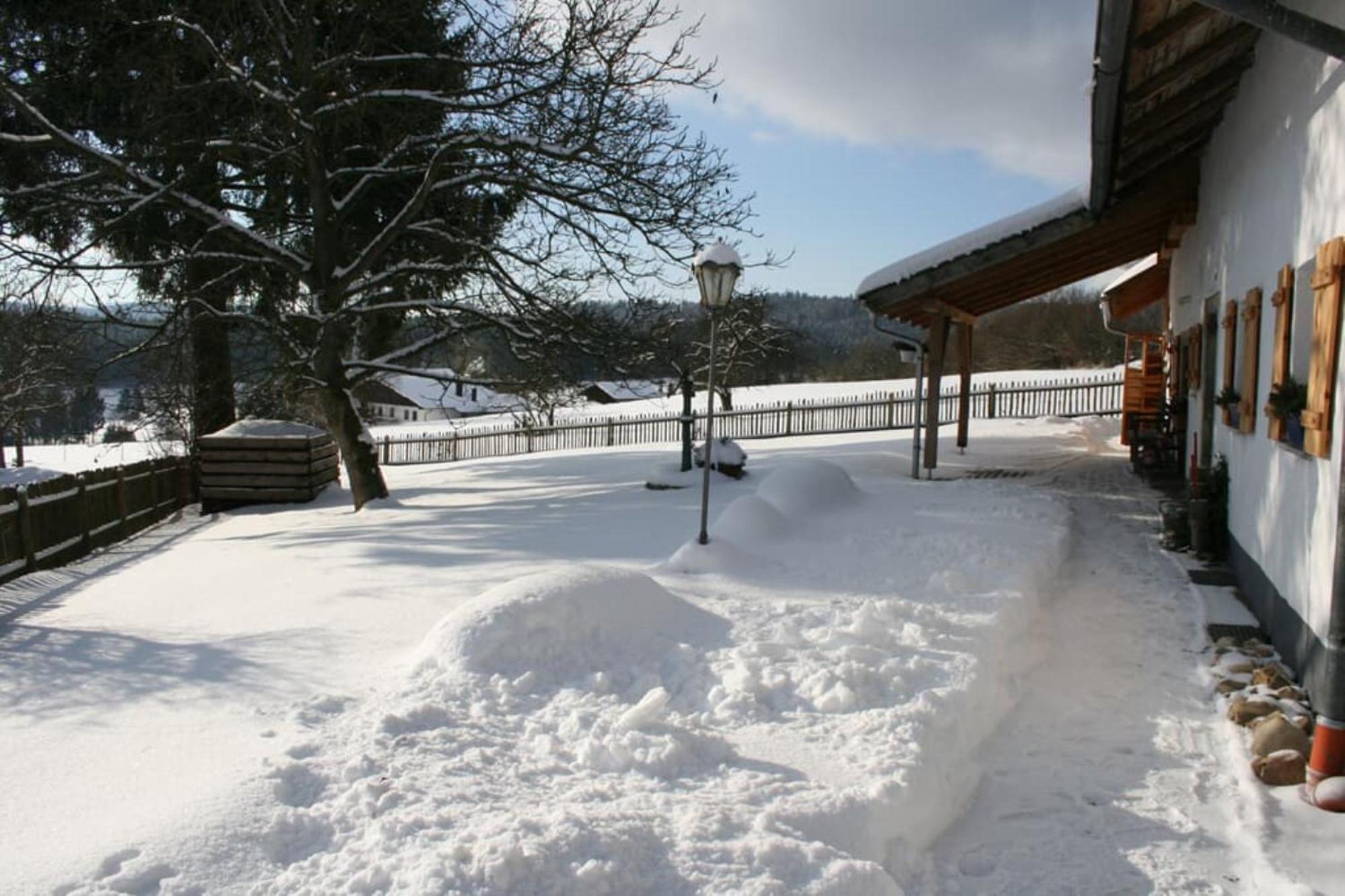 Ferienhaus Winter Blaibach Εξωτερικό φωτογραφία